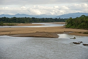 Flooded areas on the banks of the Tambopata River, Tambopata Nature Reserve Flooded areas on the banks of the Tambopata River, Tambopata Nature Reserve