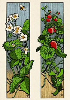 Floral ornament with strawberry fruit and blossom plant decorative art nouveau 1897 Floral ornament with strawberry fruit and blossom plant decorative art nouveau 1897
