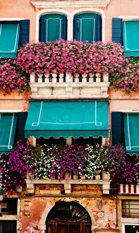 Images Dated 24th August 2011: Flower arrangement