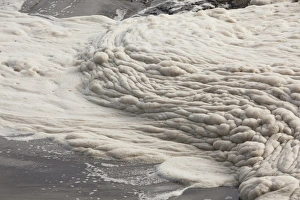 Foam Forms On The Surface Of The Water At Chestermans Beach Near Tofino Foam Forms On The Surface Of The Water At Chestermans Beach Near Tofino