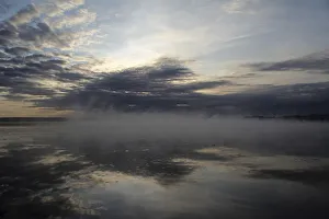 Fog bank at Federsee Lake near Bad Buchau, Upper Swabia, Baden-Wuerttemberg, Germany Fog bank at Federsee Lake near Bad Buchau, Upper Swabia, Baden-Wuerttemberg, Germany