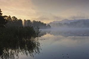 Fog on Lake Staffelsee with the island of Woerth near Seehausen, Murnau, Upper Bavaria Fog on Lake Staffelsee with the island of Woerth near Seehausen, Murnau, Upper Bavaria