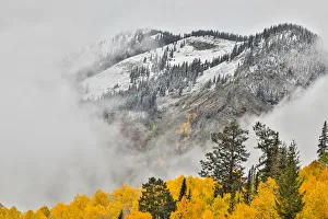 Fog Rolling on Mountain Surrounded by autumn colors, Crested Butte, Colorado, USA Fog Rolling on Mountain Surrounded by autumn colors, Crested Butte, Colorado, USA