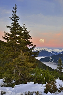 Fog over Zillertal Valley, Zillertal Alps at the back, moonrise from Loassattel, Schwaz Fog over Zillertal Valley, Zillertal Alps at the back, moonrise from Loassattel, Schwaz