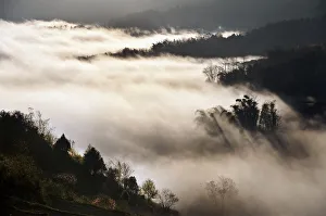 Foggy day in Yuanyang Foggy day in Yuanyang
