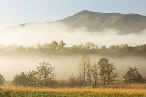 Images Dated 19th April 2013: Foggy morning, Cades Cove, Great Smoky Mountains National Park, Tennessee, USA