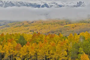 Foggy morning on Ohio Pass with Aspens in Fall color near Crested Butte, Colorado, USA Foggy morning on Ohio Pass with Aspens in Fall color near Crested Butte, Colorado, USA