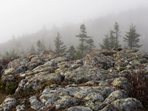 Foggy mountain landscape Foggy mountain landscape