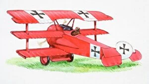 Images Dated 8th April 2006: Fokker triplane, side view