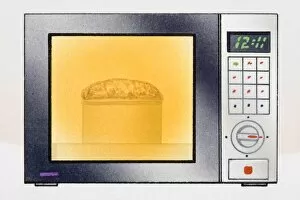 Images Dated 10th March 2007: Food cooking in microwave