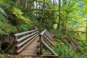 Images Dated 3rd October 2010: Footbridge at Butte Creek Hiking Trail