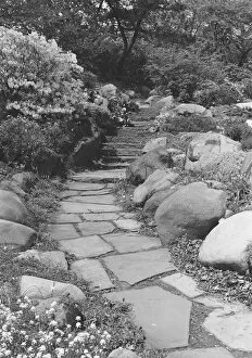 Images Dated 1st December 2006: Footpath in rock garden, (B&W)