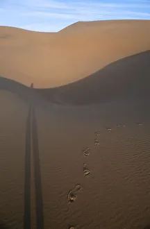 Images Dated 14th November 2006: Footprints in the Sand with Elongated Shadow