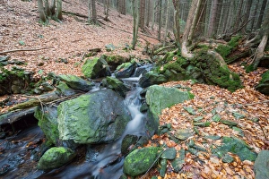 Forest brook (river) with moss covered stones, long exposure Forest brook (river) with moss covered stones, long exposure