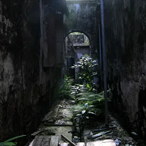 Images Dated 6th March 2011: Being forgotten