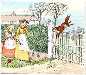 Images Dated 16th September 2013: Fox jumping over a gate