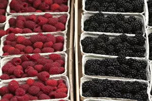 Fresh Raspberries -Rubus idaeus- and fresh Blackberries -Rubus sectio Rubusin- in boxes on the market