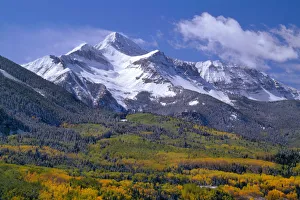Fresh snow on Mount Wilson and forest in autumn colors, Uncompahgre National Forest, Colorado, USA Fresh snow on Mount Wilson and forest in autumn colors, Uncompahgre National Forest, Colorado, USA