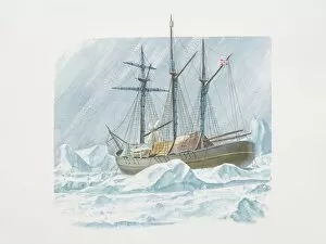 1893 Collection: Fridtjof Nansens 1893 ship the Fram frozen into ice
