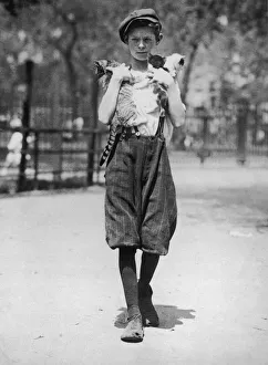 <b class=qtipBold><figcaption>Friend Of Felines</figcaption></b><br>A boy in knee-length breeches carrying a cat and two kittens, circa 1930. (Photo by FPG/Hulton Archive/Getty Images)<br><em>© 2004 Getty Images</em> Friend Of Felines