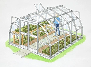 Gardener inside vegetables greenhouse made of glass and metal frame, side view Gardener inside vegetables greenhouse made of glass and metal frame, side view