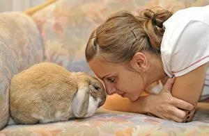 Canoodling Gallery: Girl cuddling with a European Dwarf Rabbit (Oryctolagus cuniculus), animal love
