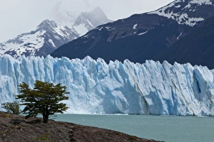 Glacial ice from the Perito Moreno Glacier at the lake of Lago Argentino Glacial ice from the Perito Moreno Glacier at the lake of Lago Argentino