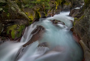 <b class=qtipBold><figcaption>Glacier National Park</figcaption></b><br>Sprague Creek in Glacier National Park<br><em>© Russell Burden</em> Glacier National Park
