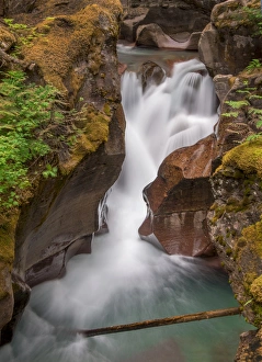 <b class=qtipBold><figcaption>Glacier National Park</figcaption></b><br>Sprague Creek in Glacier National Park<br><em>© Russell Burden</em> Glacier National Park