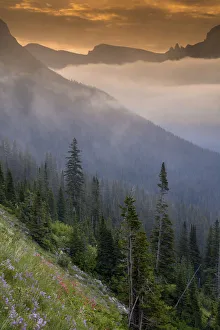 <b class=qtipBold><figcaption>Glacier NP sunrise</figcaption></b><br>Low fog in Glacier NP at sunrise with wildflowers<br><em>© Russell Burden</em> Glacier NP sunrise