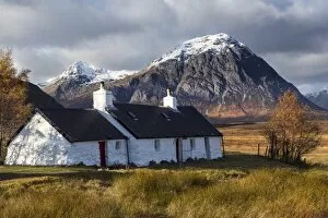 Buachaille Etive Mor Gallery: Gold Valley