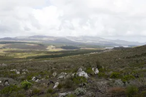 Grabouw side of the Hottentot Holland mountains not far from N2 and Sir Lowrys Pass Grabouw side of the Hottentot Holland mountains not far from N2 and Sir Lowrys Pass