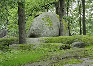 Granit rock, Blockheide nature park in Gmuend, Lower Austria, Austria, Europe Granit rock, Blockheide nature park in Gmuend, Lower Austria, Austria, Europe