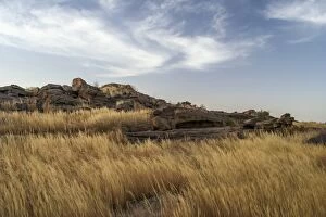 Dogon Country Gallery: Grassland on top of Bandiagara Escarpment