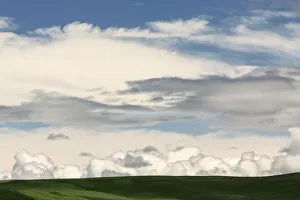 Grassy field on cloudy day, Palouse, Washington State, USA Grassy field on cloudy day, Palouse, Washington State, USA