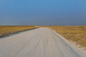 Gravel road in Etosha National Park, Namibia Gravel road in Etosha National Park, Namibia