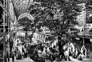 Images Dated 30th March 2009: The Great Exhibition trancept 1851, Illustrated London News