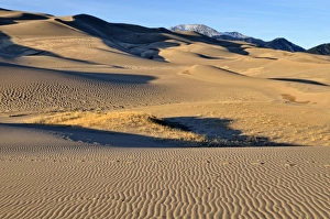 Great Sand Dunes National Park in the evening light, Mount Herard at the back, Mosca Great Sand Dunes National Park in the evening light, Mount Herard at the back, Mosca