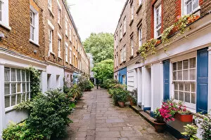 Travel Imagery Gallery: Green alley with residential houses in Fitzrovia district, London, UK
