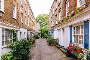 Travel Imagery Gallery: Green alley with residential houses in Fitzrovia district, London, UK