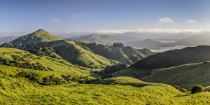Green hilly grasslands with view of Hoopers Inlet, Otago Peninsula, South Island Green hilly grasslands with view of Hoopers Inlet, Otago Peninsula, South Island