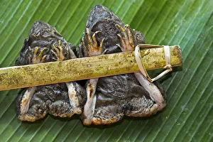 Two grilled frogs tied to a bamboo stick served on a banana leaf, as a snack, Chiang Mai Two grilled frogs tied to a bamboo stick served on a banana leaf, as a snack, Chiang Mai