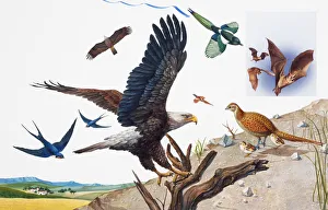 Group of birds in flight, on land, and perching on branch Group of birds in flight, on land, and perching on branch