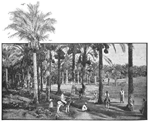 Group of People at Memphis, Egypt - Ottoman Empire Group of People at Memphis, Egypt - Ottoman Empire