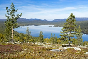 Gutulisjoen, Gutuli Lake, Gutulia National Park, Engerdal, Hedmark, Norway Gutulisjoen, Gutuli Lake, Gutulia National Park, Engerdal, Hedmark, Norway