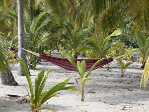 Hammock under the palm trees, Playa Carryllo, Nicoya Peninsula, Costa Rica, Central America Hammock under the palm trees, Playa Carryllo, Nicoya Peninsula, Costa Rica, Central America