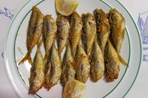 Hamsi, fried anchovies, Black Sea Region, Turkey Hamsi, fried anchovies, Black Sea Region, Turkey