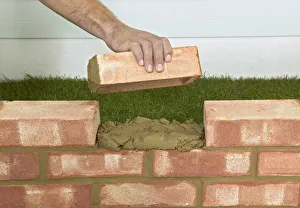 Hand holding brick above mortar between gap in wall, close up Hand holding brick above mortar between gap in wall, close up