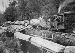 Images Dated 7th July 2010: Handmade Logging Train