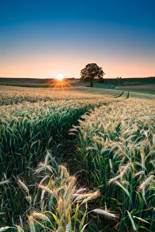 Global landscape views/michael breitung landscape photography/harvest Global landscape views/michael breitung landscape photography/harvest